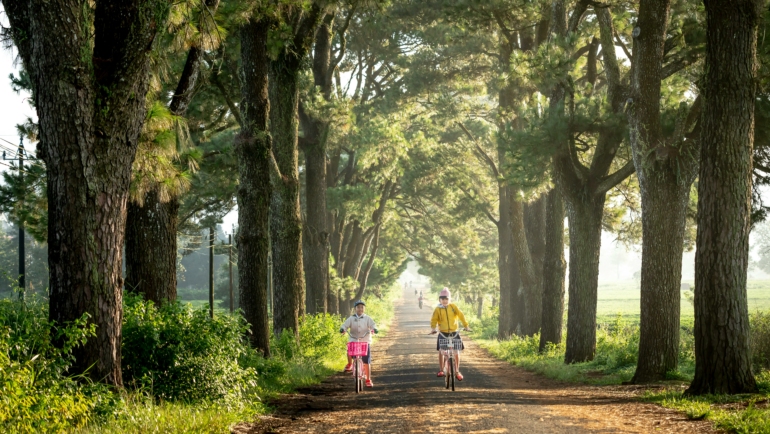 Zwei Kinder fahren auf einem von hohen Bäumen gesäumten, ruhigen Weg Fahrrad. Sonnenlicht dringt durch die Baumkronen und erzeugt ein idyllisches, grünes Ambiente.