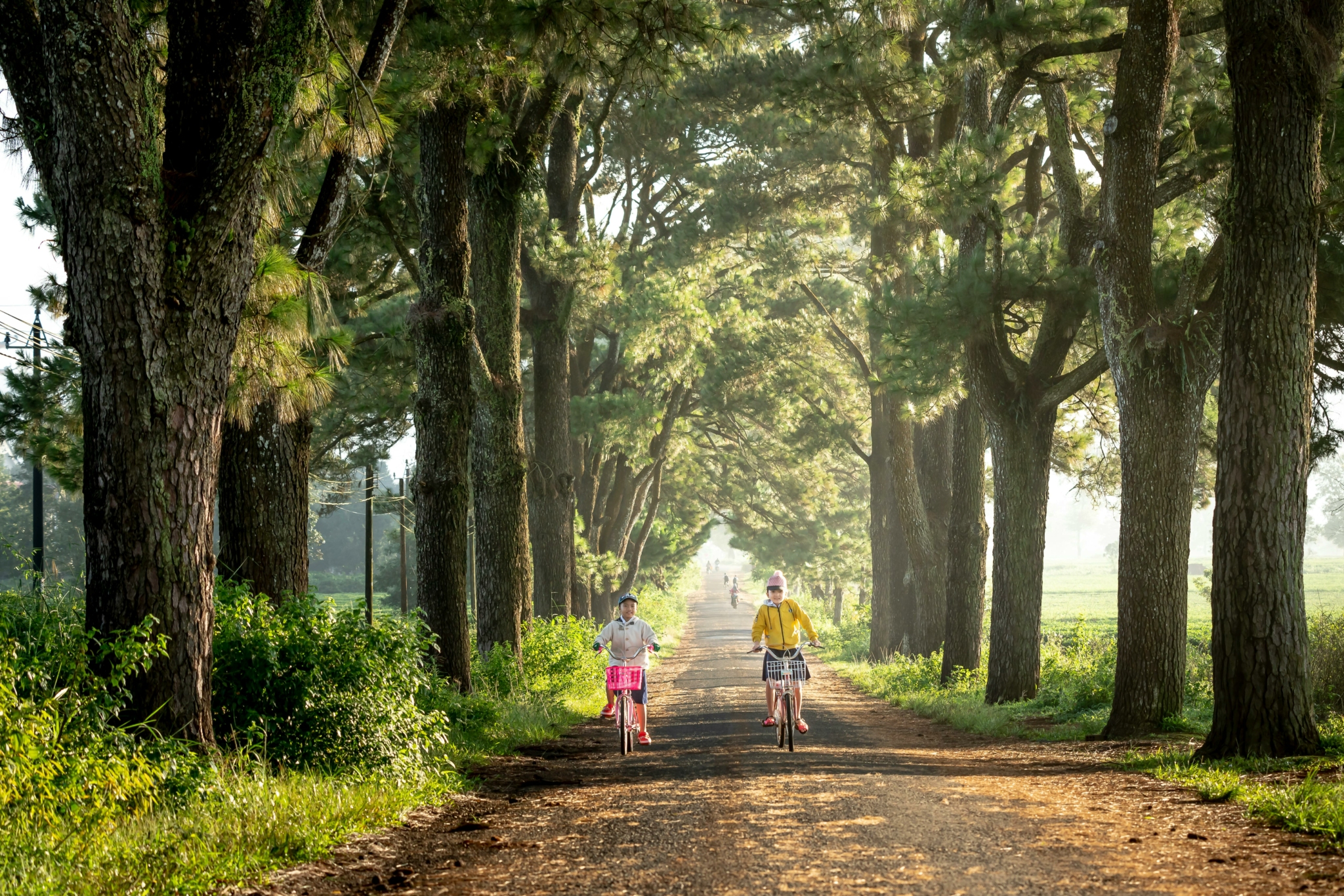 Zwei Kinder fahren auf einem von hohen Bäumen gesäumten, ruhigen Weg Fahrrad. Sonnenlicht dringt durch die Baumkronen und erzeugt ein idyllisches, grünes Ambiente.